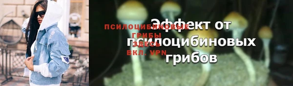 спиды Волосово