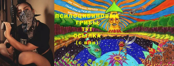 тгк Верея