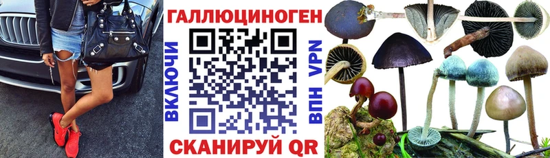 наркошоп  shop клад  Галлюциногенные грибы прущие грибы  Дубовка 